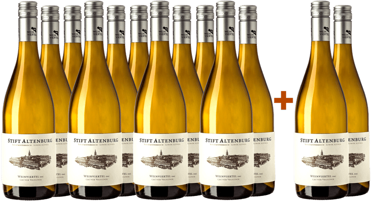 10+2 Paket Grüner Veltliner DAC Altenburg 2023