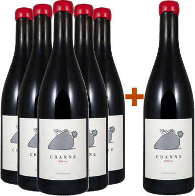 5+1 Paket 2022 Sterenn BIO