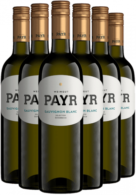 6er-Paket Sauvignon Blanc Selection ÖTW Gutswein BIO