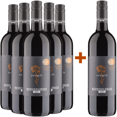 5+1 Paket Zweigelt Neusiedlersee DAC