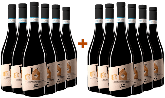 Montepulciano DOC Paket BIO