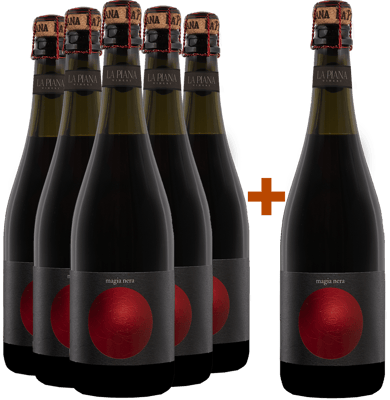 5+1 Paket Magia Nera Lambrusco Grasparossa di Castelvetro DOC BIO
