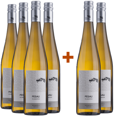 4+2 Paket Weinviertel DAC Grüner Veltliner Falkenstein trocken BIO