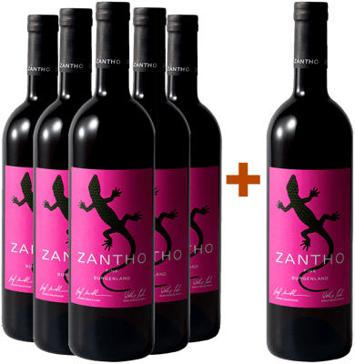 5+1 Paket Pink