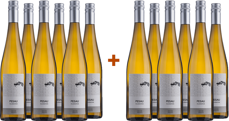 6+6 Paket 2023 Riesling Falkenstein trocken Bio BIO