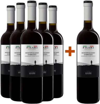 5+1 Paket Filari Montepulciano d’Abruzzo DOC
