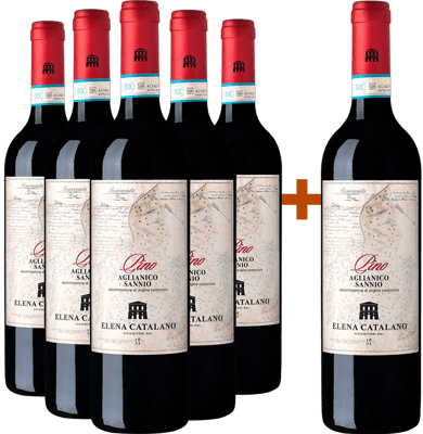 5+1 Paket Pino Aglianico Del Sannio DOC