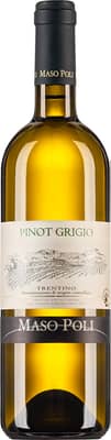 2023 Pinot Grigo Trentino DOC