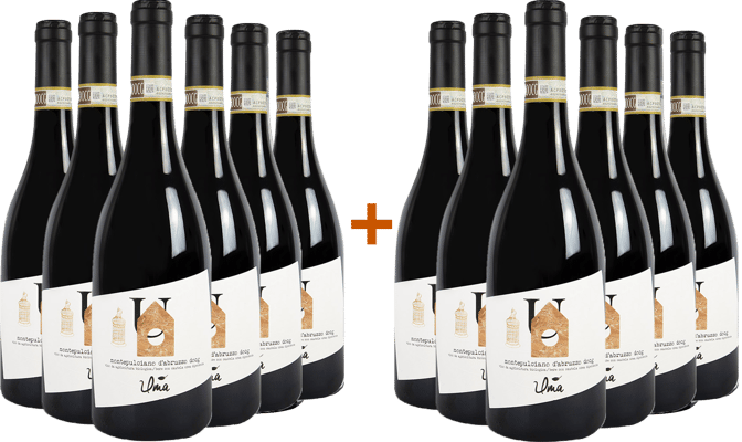 6+6 Paket Montepulciano d'Abruzzo Colline Teramane DOCG BIO BIO