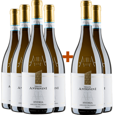 4+2 Paket Tenuta Antonini Alessio Hydria Pecorino d'Abruzzo DOC