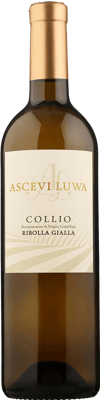 2024 Ribolla Gialla Collio Goriziano DOC