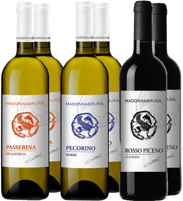 Madonnabruna Classici-Kennenlern-Paket