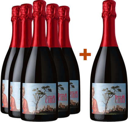5+1 Paket Terre del Cima Conegliano Valdobbiadene Prosecco Superiore DOCG