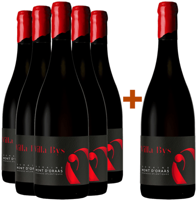 5+1 Paket 2020 Cuvée "Villa Bys" Bio BIO