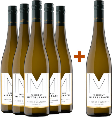 5+1 Grüner Veltliner Kaiserstiege Kremstal DAC 2025