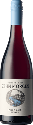 2022 Pinot Noir - Gutswein BIO