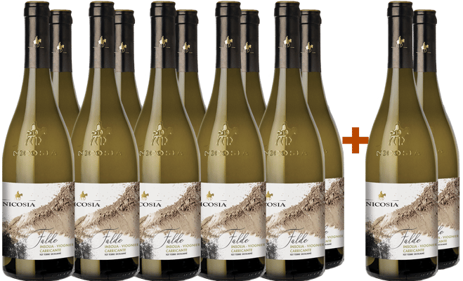 10+2 Paket Falde Insolia Viognier Carricante Terre Siciliane IGP