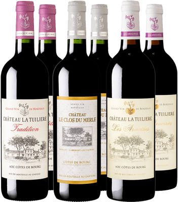 Côtes de Bourg Entdecker-Paket