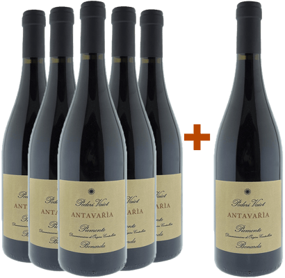 5+1 Bonarda Antavařìa Piemonte DOC