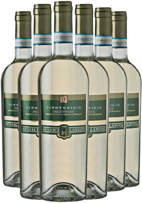 Paket Pinot Grigio delle Venezie DOC-Paket