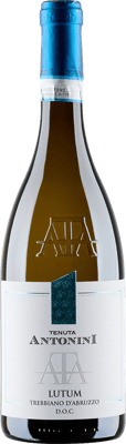 2025 Lutum Trebbiano d'Abruzzo DOC