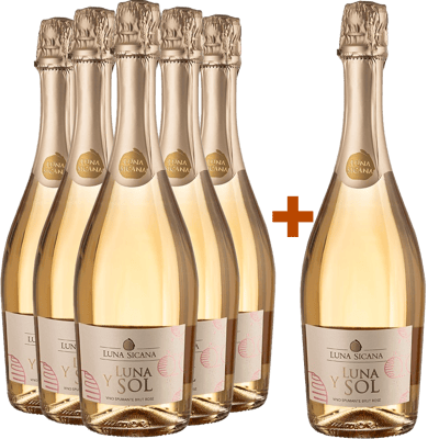 5+1 Paket Luna Y Sol Spumante Rosé BIO BIO