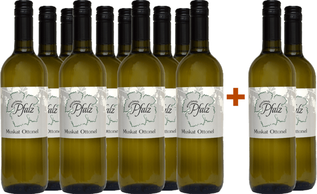 10+2 Paket Muskat Ottonel trocken