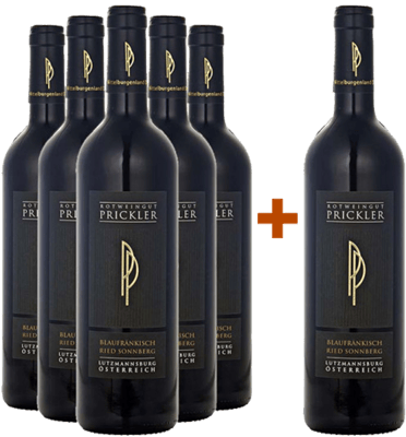 5+1 Paket Ried Sonnberg Blaufränkisch Mittelburgenland DAC