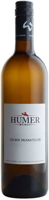 2024 Gelber Muskateller 2024 Gelber Muskateller