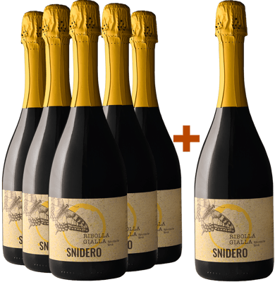 5+1 Paket Ribolla Gialla