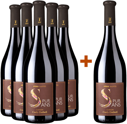 5+1 Paket Pur Sans 2023