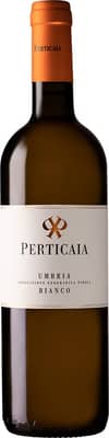 2024 Grechetto Umbria IGP