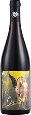 2018 Cavallo- Pinot Noir