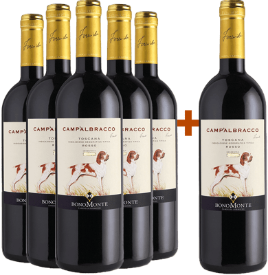 5+1 Paket Camp'Albracco Toscana IGP