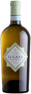 2024 Lugana DOC 2024 Lugana DOC