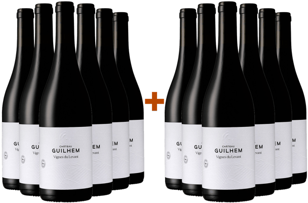 6+6 Paket Cuvée Vignes du Levant Rouge Malepère AOP BIO
