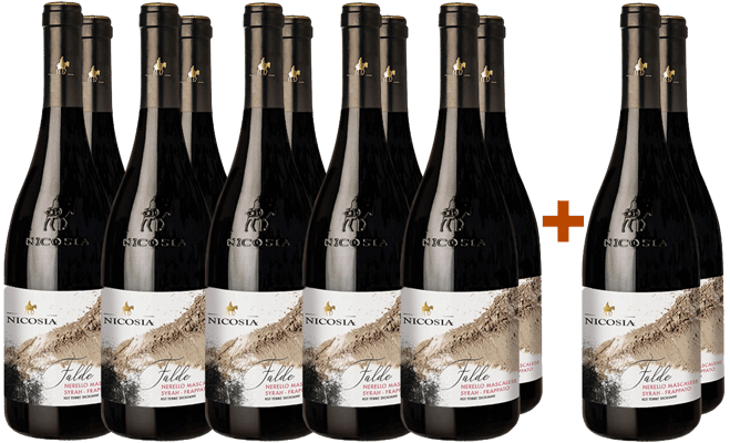 10+2 Paket Falde Nerello Mascalese Syrah Frappato Terre Siciliane IGP