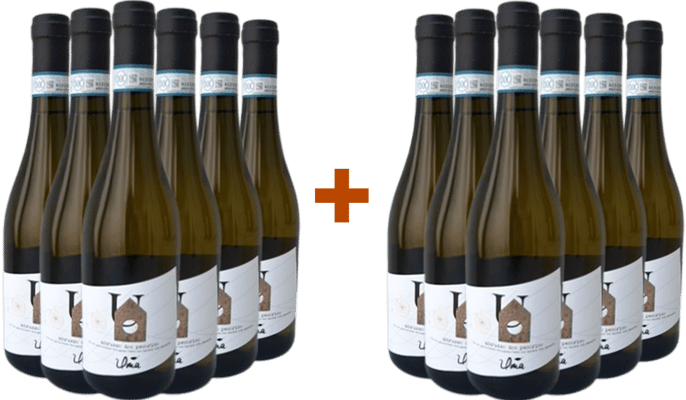 6+6 Paket Pecorino Abruzzo DOC BIO 6+6 Paket Pecorino Abruzzo DOC BIO