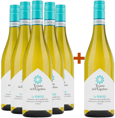 5+1 Paket Le Piaole Verdicchio dei Castelli di Jesi Classico BIO