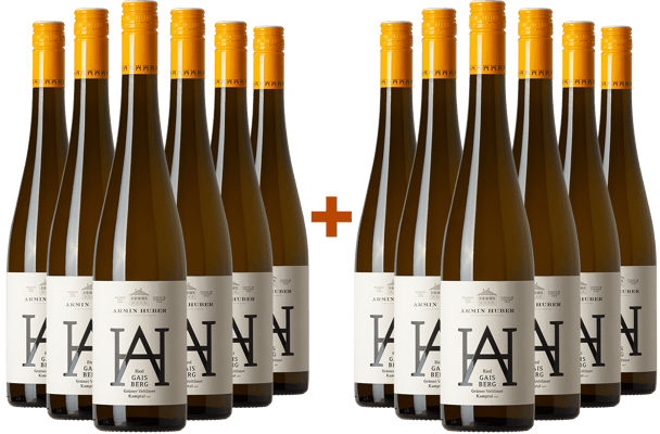 6+6 GAISBERG Kamptal DAC BIO Paket BIO