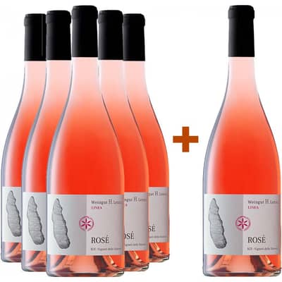 5+1 Paket Rosé Vigneti delle Dolomiti IGP