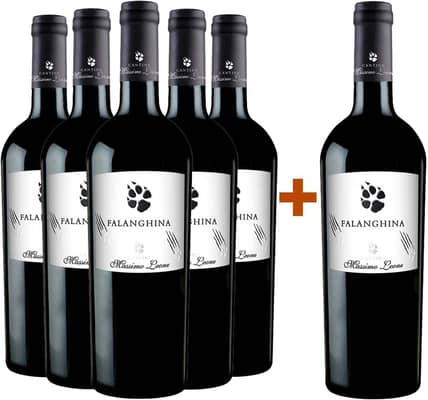 5+1 Paket Falanghina Puglia IGP
