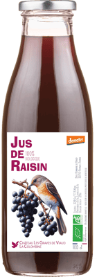 Juis de Raisin 100% logique BIO 1,0 L