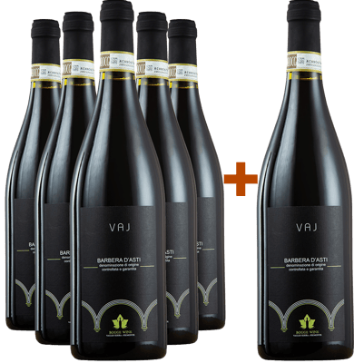 5+1 Paket Vaj Barbera D’Asti DOCG