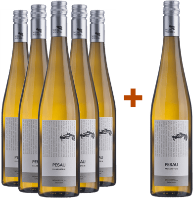 5+1 Paket Weinviertel DAC Grüner Veltliner Falkenstein BIO