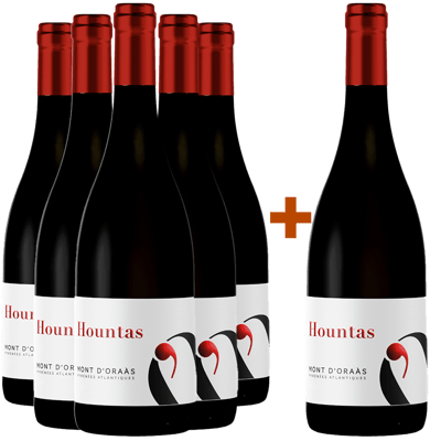 5+1 Paket 2020 Cuvée "Hountas" Bio BIO