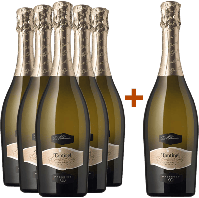 5+1 Paket One&Only Prosecco Millesimato DOC  5+1 Paket One&Only Prosecco Millesimato DOC