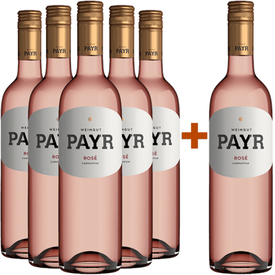 5+1 Rosé ÖTW Gutswein BIO BIO