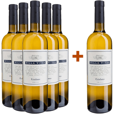 5+1 Paket Friulano Friuli DOC 5+1 Paket Friulano Friuli DOC