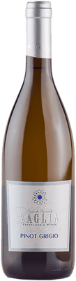 2024 Pinot Grigio Friuli DOC